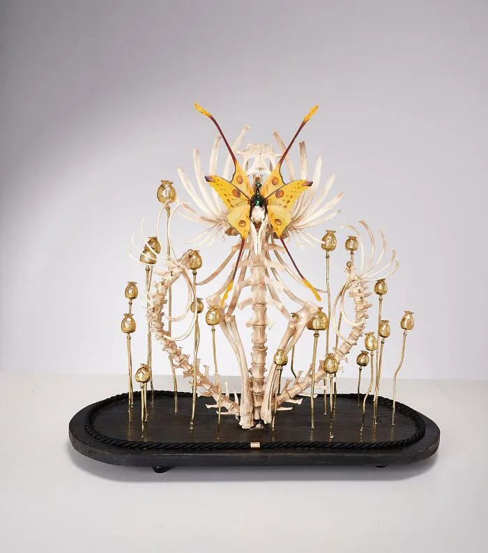 This Artist Creates Surreal Fairies, Floral Skeletons, And Mythical Creatures Out Of Natural Materials (33 Pics)