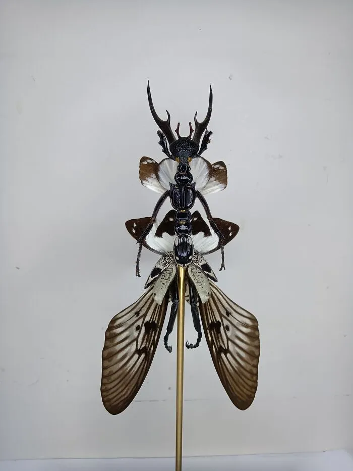 This Artist Creates Surreal Fairies, Floral Skeletons, And Mythical Creatures Out Of Natural Materials (33 Pics)