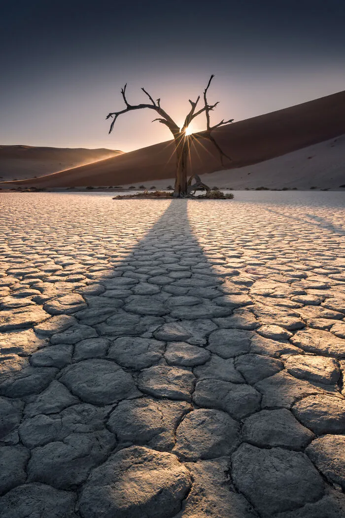 41 New Nature Photos From Around The World That Feel Almost Too Beautiful To Be Real