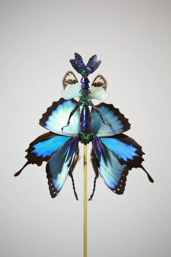 This Artist Creates Surreal Fairies, Floral Skeletons, And Mythical Creatures Out Of Natural Materials (33 Pics)