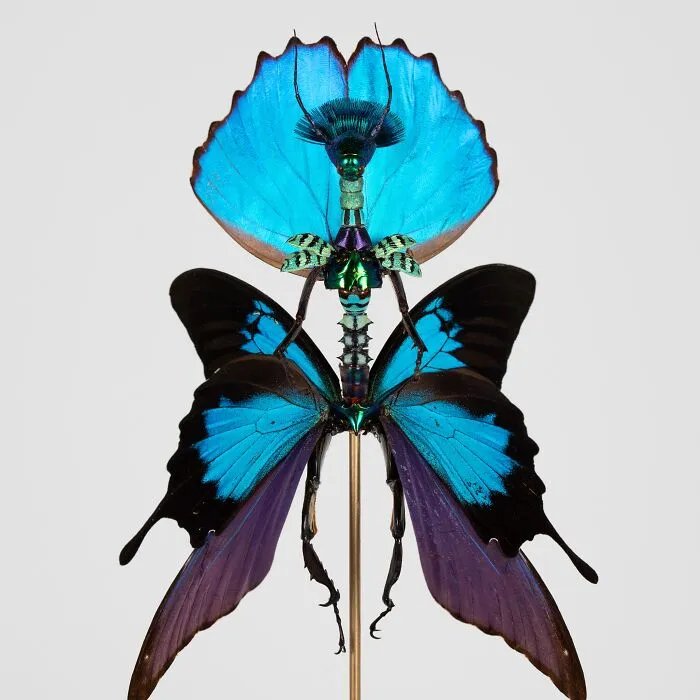 This Artist Creates Surreal Fairies, Floral Skeletons, And Mythical Creatures Out Of Natural Materials (33 Pics)