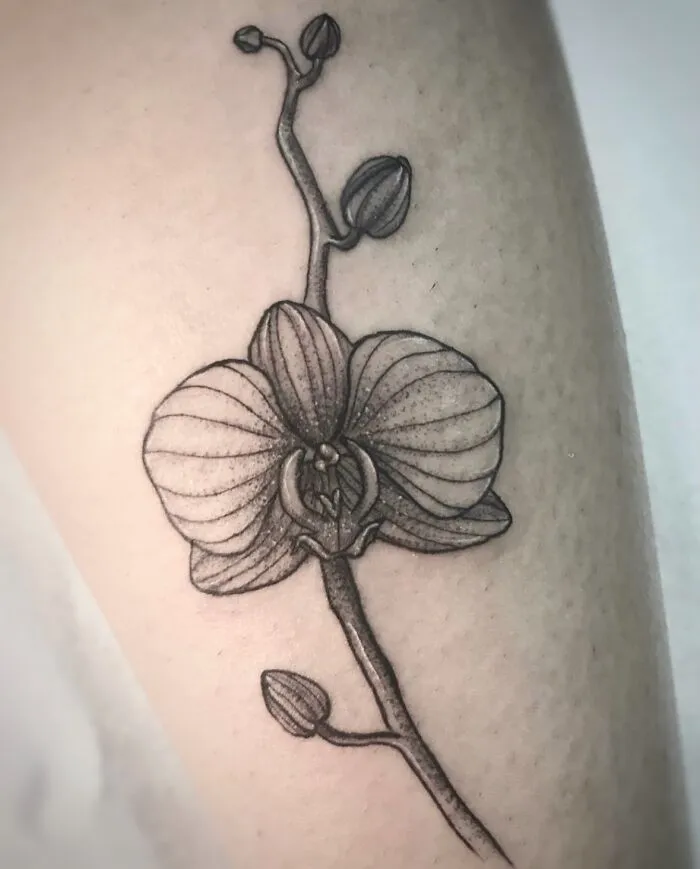 From Delicate Florals To Bold Wildlife Designs: The Best 73 Botanical Tattoos Shared By Our Artists At Sacred Gold Tattoo Studio