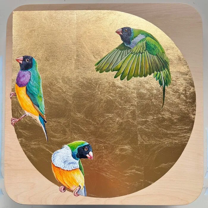“Finch Fiesta”