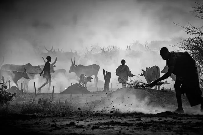 “Mundari's Life” By Svetlin Yosifov