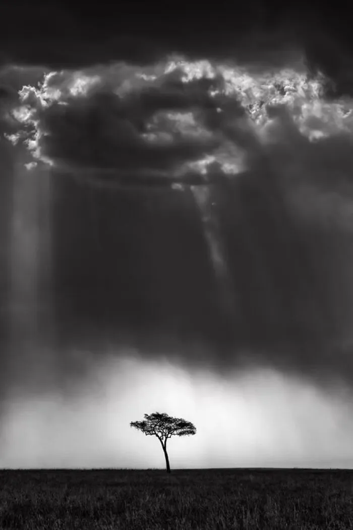 “Skyfall” By Preeti & Prashant Chacko