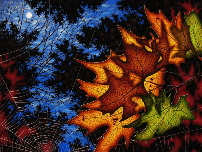 “Leaf Shadows”