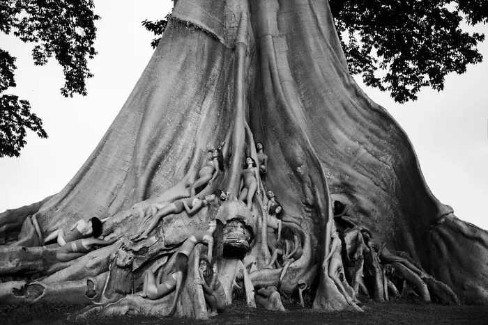 30 Photos By This Artist That Blur The Line Between Human And Nature