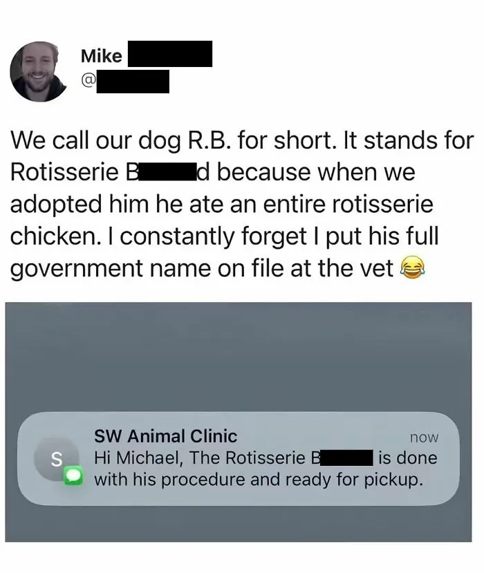 This Page Shared 38 Dog Memes That Capture How Hilariously Strange Canine Logic Is