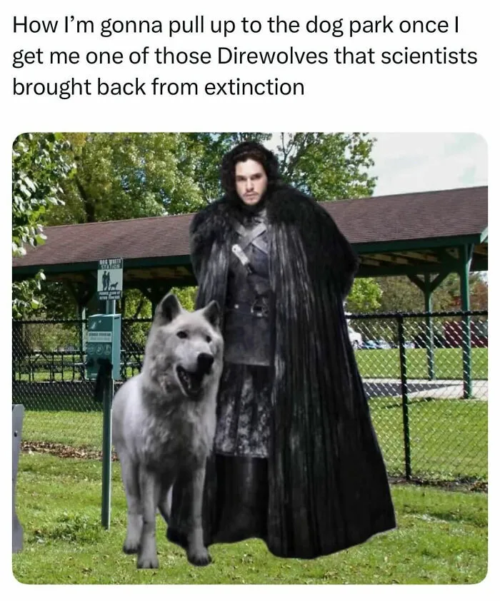 This Page Shared 38 Dog Memes That Capture How Hilariously Strange Canine Logic Is