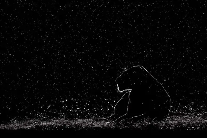 “Fortitude” By Preet & Prashant Chacko
