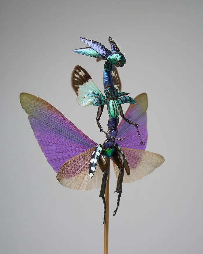 This Artist Creates Surreal Fairies, Floral Skeletons, And Mythical Creatures Out Of Natural Materials (33 Pics)