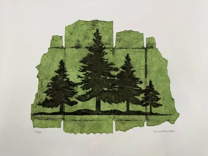 Fragmented Forest