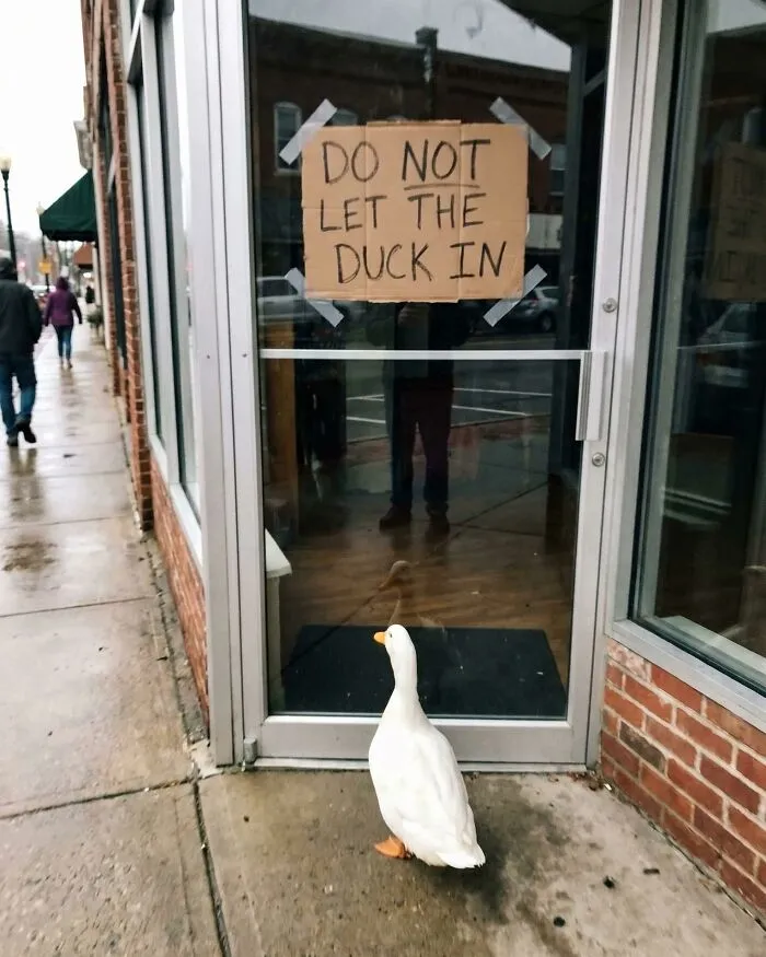 This FB Page Is Dedicated To Absurd Signs, Here Are The 84 Funniest Examples