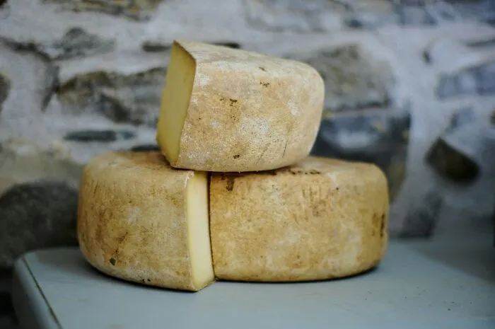 Mil Ate My Fancy Cheese