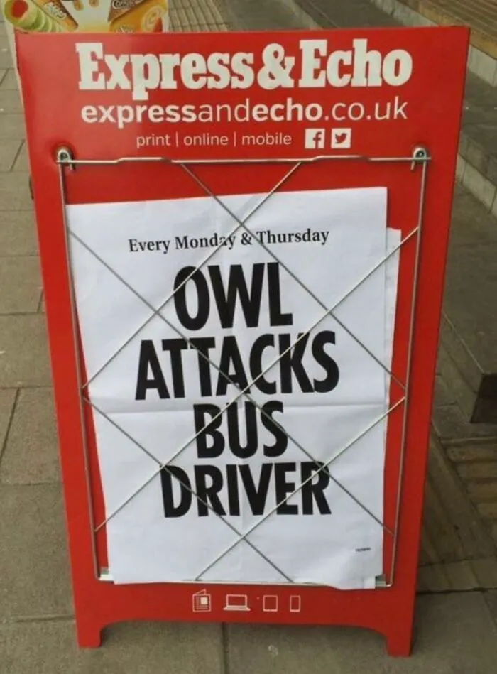 74 Funny Newspaper Headlines That Make You Wonder If The World Is Going Mad