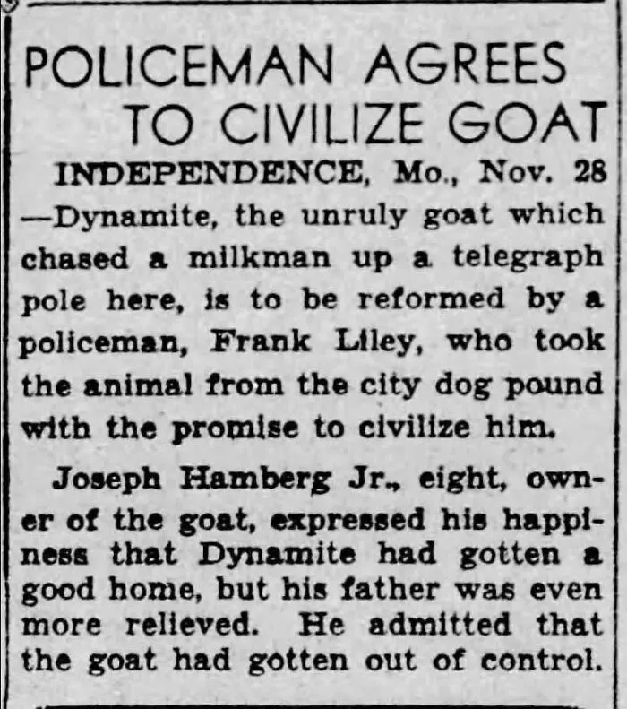 74 Funny Newspaper Headlines That Make You Wonder If The World Is Going Mad