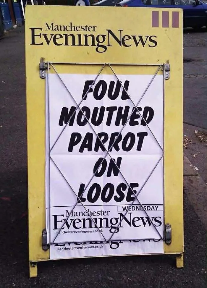 74 Funny Newspaper Headlines That Make You Wonder If The World Is Going Mad