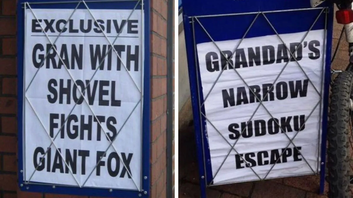 74 Funny Newspaper Headlines That Make You Wonder If The World Is Going Mad