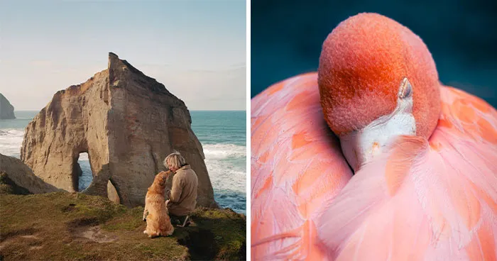 20 Powerful Photos From The 2026 Animal Kingdom Competition By Life Framer