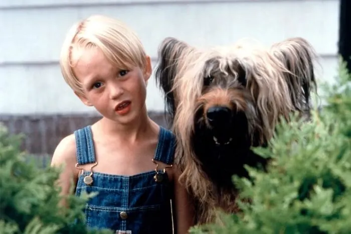 48 Facts People Know Are True, But They Still Shock Them