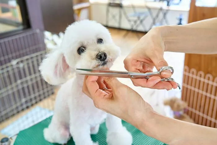“You All Truly Opened My Eyes”: 33 Glorified Industries That Hide Horrible Realities