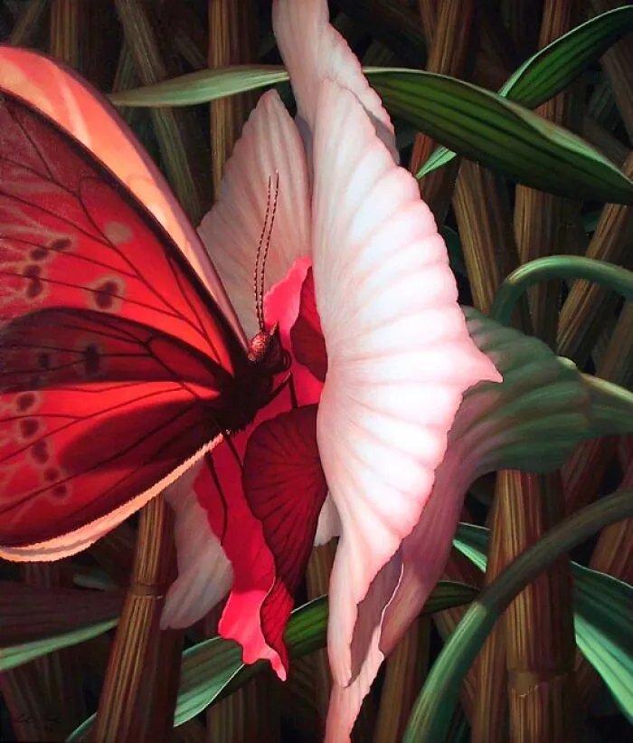 “Butterfly And Orchid”