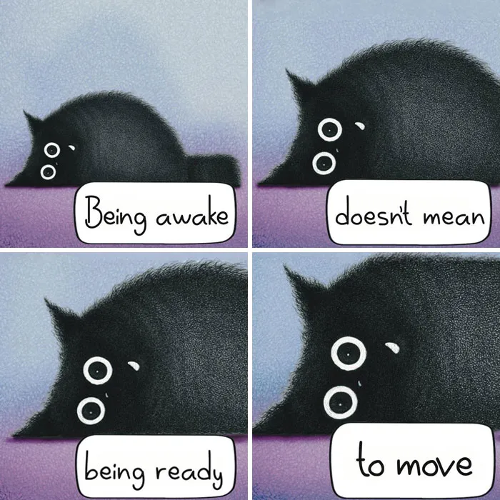 This Artist Creates Illustrations That You Might Relate To If You Have A Cat (35 New Pics)