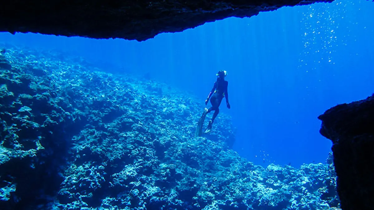 New Detail In Maldives Diving Tragedy Sparks Questions After Missing Tourists Found Inside “Shark Cave”