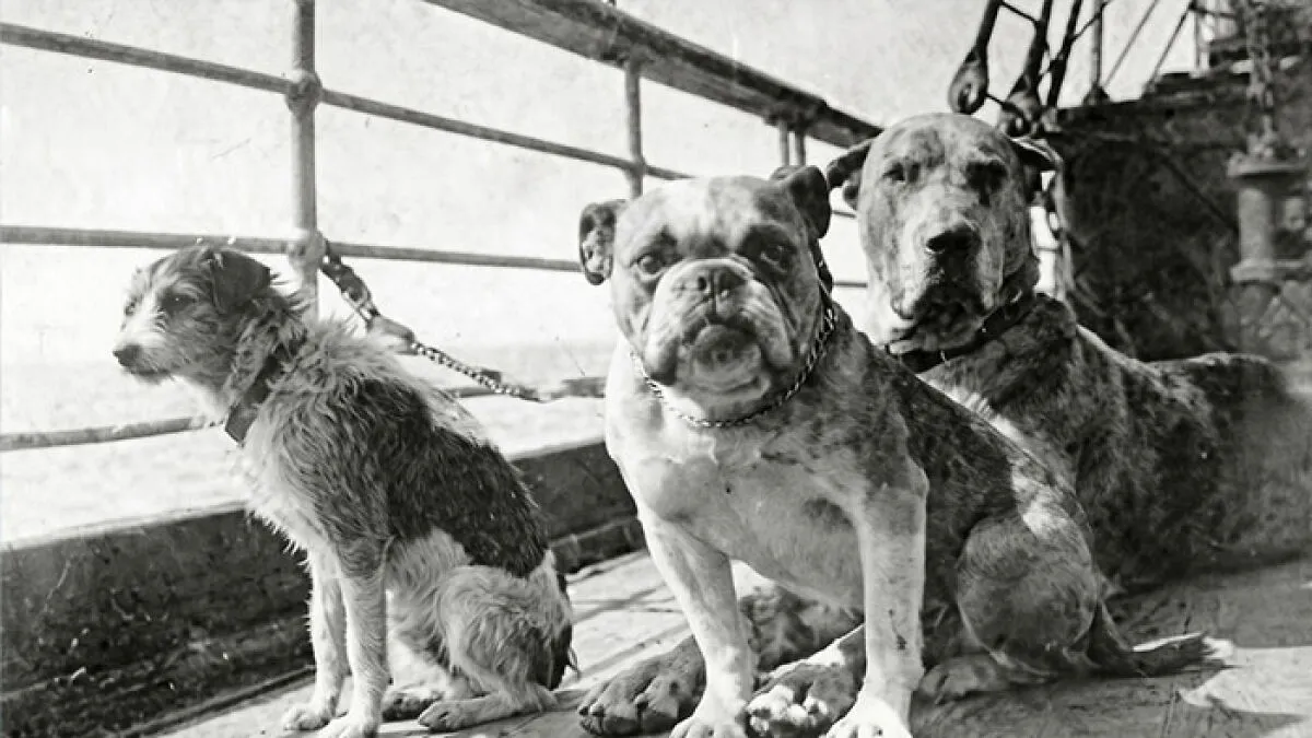 Eerie Titanic Detail Most People Never Knew Is Breaking Hearts All Over Again More Than A Century Later