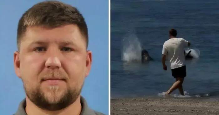 Entitled Tourist Who Threw A Rock At Beloved Hawaiian Seal Before Yelling 'I'm Rich' Officially Charged