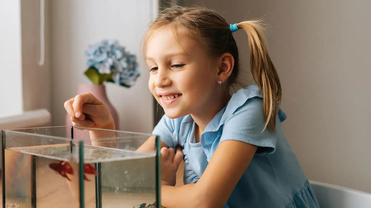 Sitter Says No More Free Help As Her Fish Are Dragged Out Of Tank By 9YO, Coworker Goes Ballistic 