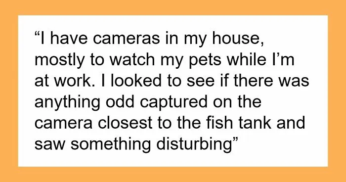 Sitter Says No More Free Help As Her Fish Are Dragged Out Of Tank By 9YO, Coworker Goes Ballistic 
