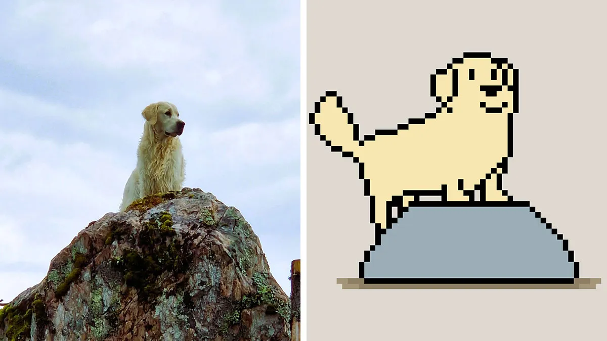 This Dog’s 13 Favorite Things Were Turned Into Tiny Pixel Animations By His Owner