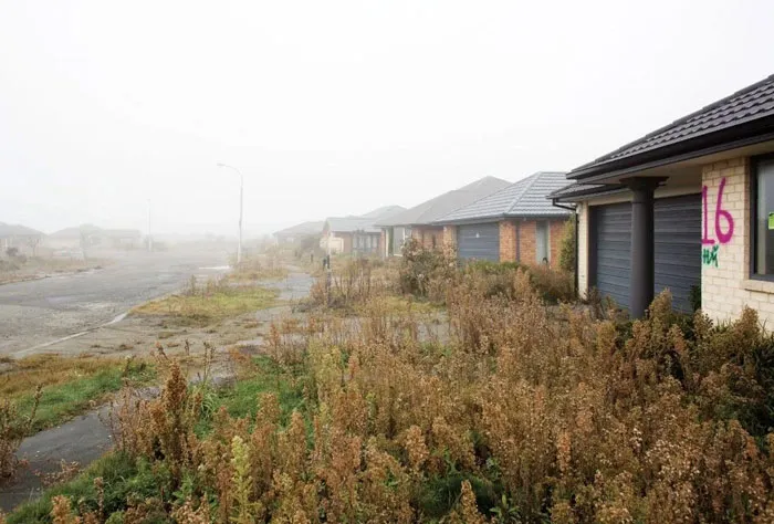 Abandoned residential street with overgrown weeds and foggy atmosphere