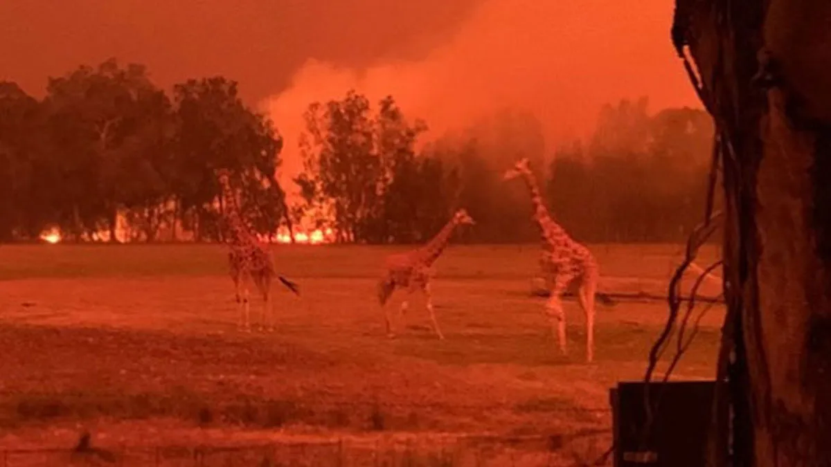 34 People Share The Most Dystopian Photos That Have Ever Been Taken In Their Countries