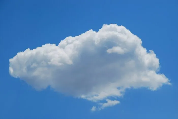 48 Facts People Know Are True, But They Still Shock Them