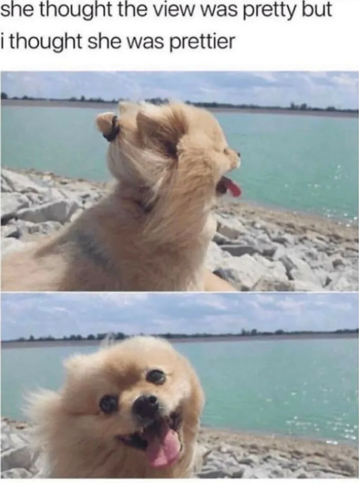 68 Memes So Funny That It Made Folks Wish They Were The Ones Who Shared Them