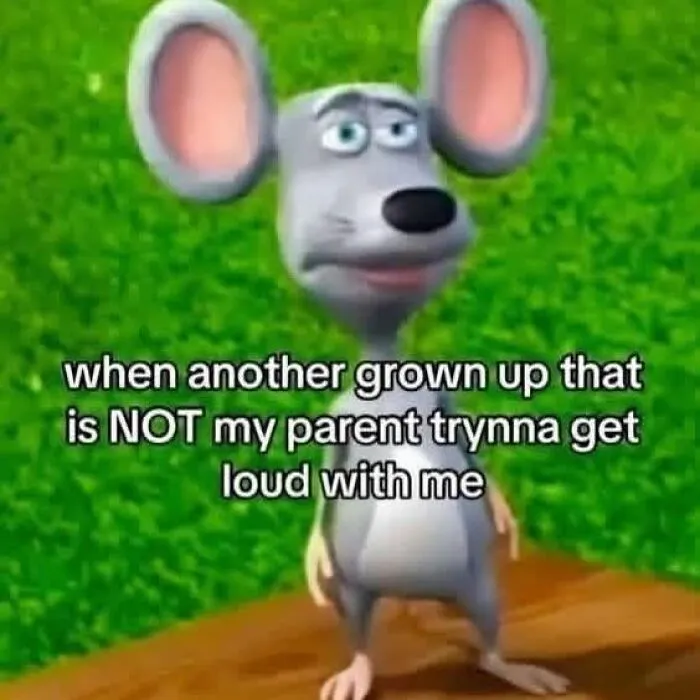 Funny meme mouse reaction to grown up acting loud meme