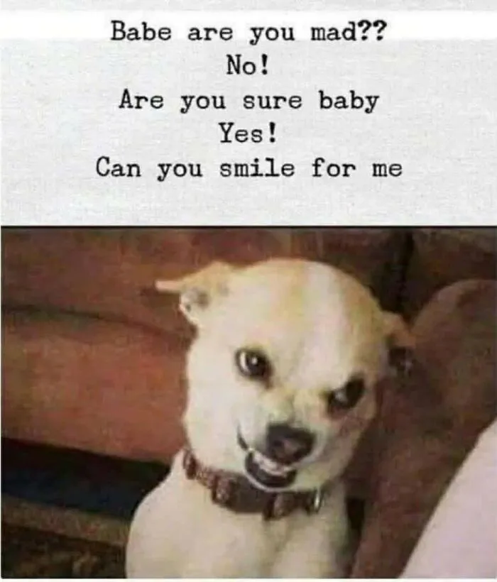 Dog smirking meme with text asking if babe is mad and to smile
