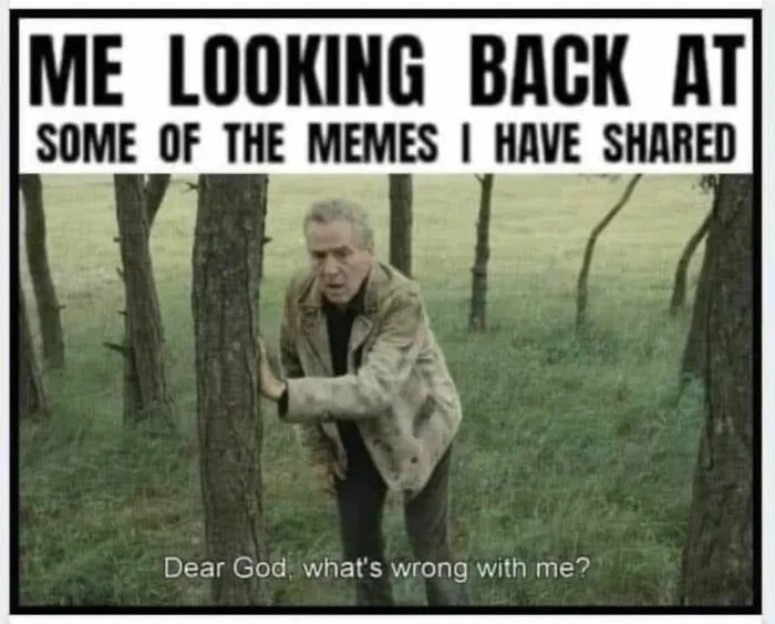 Man looks back at memes shared questioning himself meme