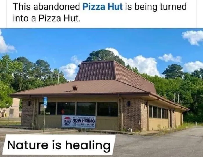 68 Memes So Funny That It Made Folks Wish They Were The Ones Who Shared Them