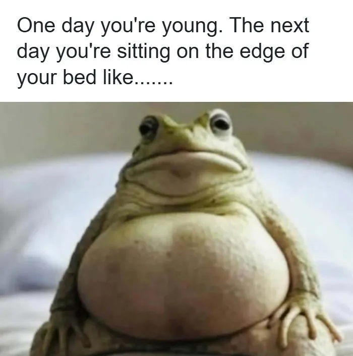 “You’re A Monster In Bed”: 71 Random Memes To Bring Out The Laughter When You Need It Most
