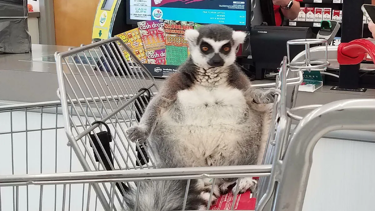 25 Personas extrañas vistas en supermercados que no podras creer