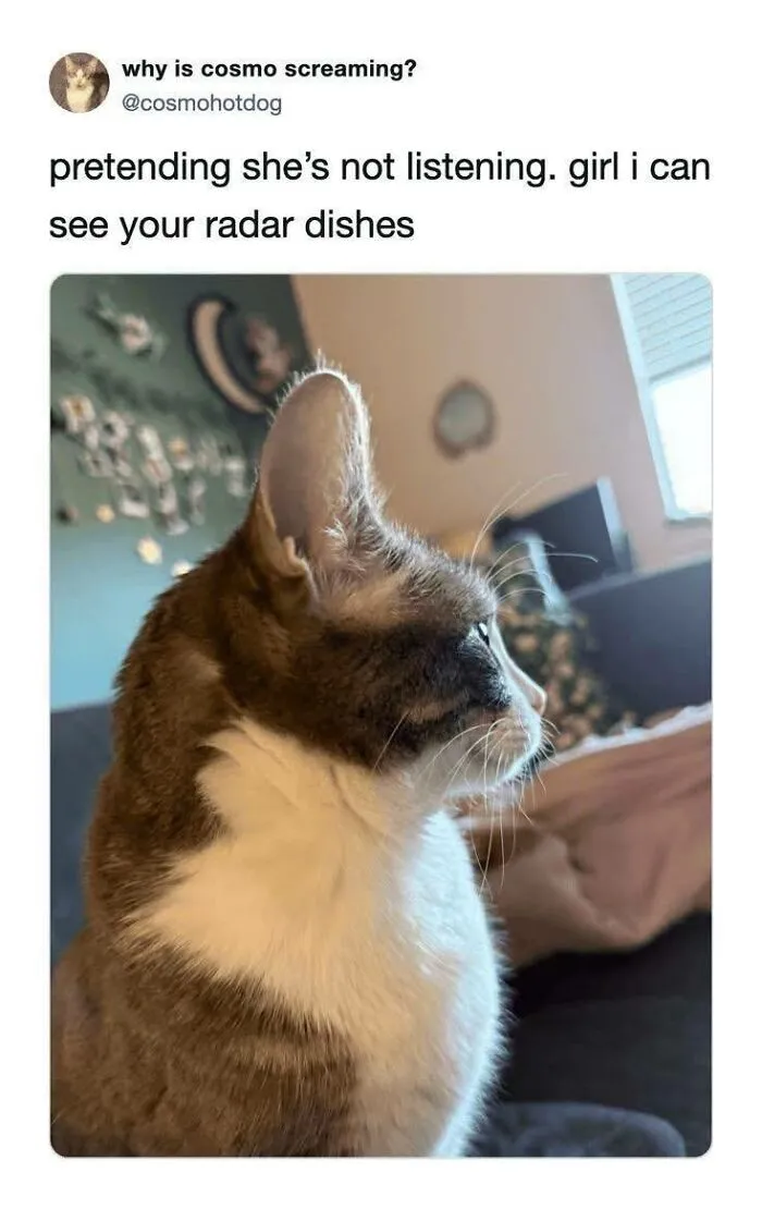 70 Randomly Funny Memes To Fix Your Mood