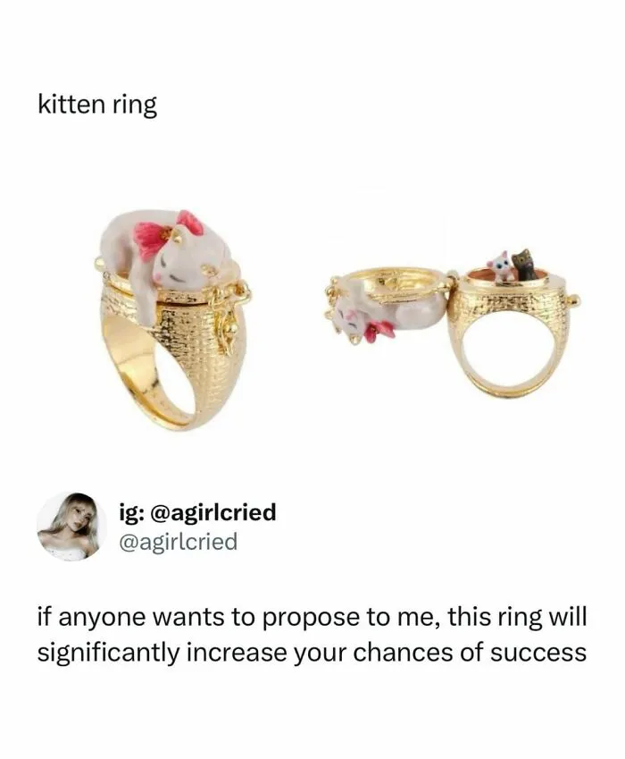 70 Randomly Funny Memes To Fix Your Mood