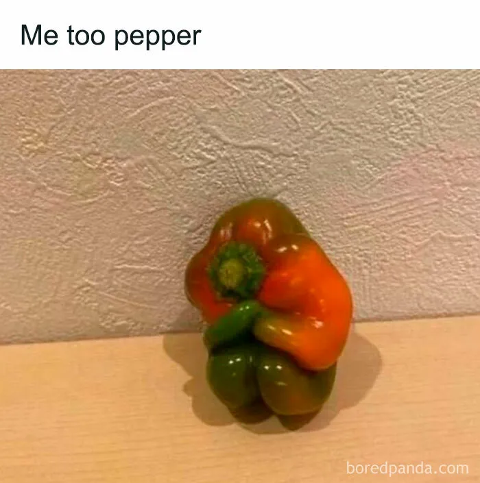 1.1M People Love This Page’s Random Sense Of Humor, Here Are 121 Of Its Best Posts