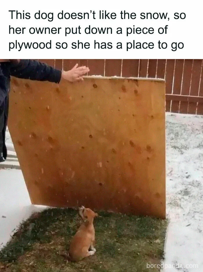 1.1M People Love This Page’s Random Sense Of Humor, Here Are 121 Of Its Best Posts