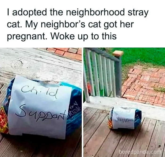 1.1M People Love This Page’s Random Sense Of Humor, Here Are 121 Of Its Best Posts