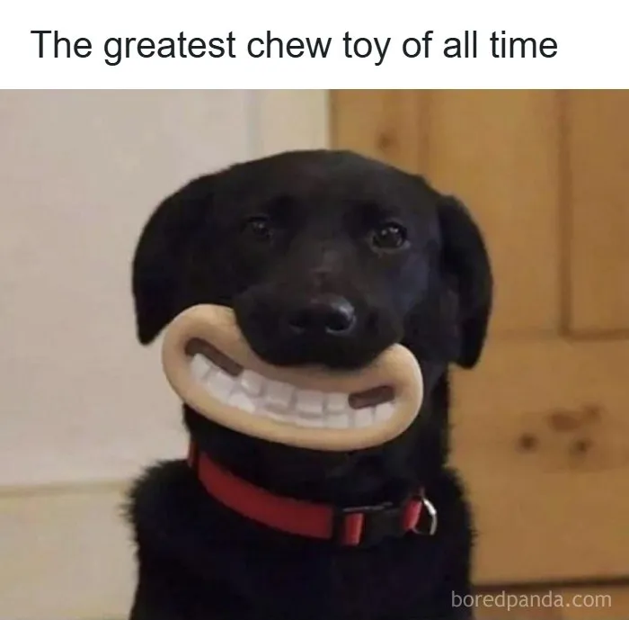 41 Memes That Are So Chaotic They Might Make You Forget What You Were Doing After You Stop Laughing