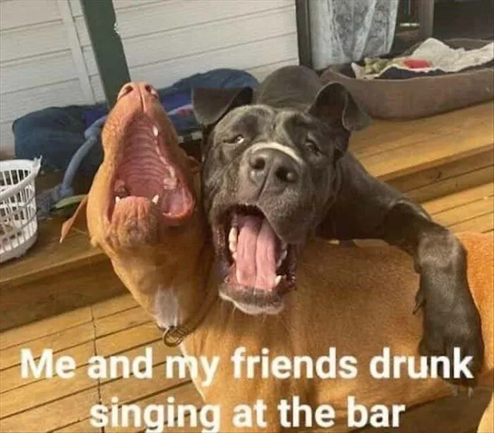 41 Memes That Are So Chaotic They Might Make You Forget What You Were Doing After You Stop Laughing